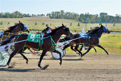 Horse Racing Alberta .